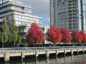 Vancouver.FalseCreekNorthNeighbourhood.Fall2011